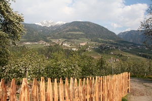 Ausblick auf Schenna und den Ifinger Ausblick auf Schenna und den Ifinger